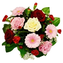Flower Power Flower Power