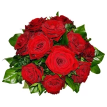 Tantalizing 12 Roses Tantalizing 12 Roses