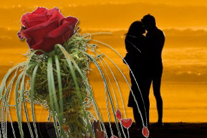 Virágküldés hűségtesztre Virágküldés hűségtesztre